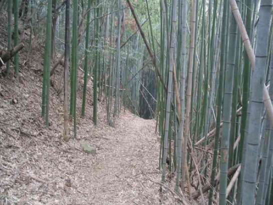 四国遍路|七かしょまいり③