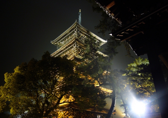 四国遍路|七かしょまいり⑧