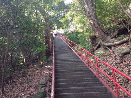 四国遍路|七かしょまいり⑲