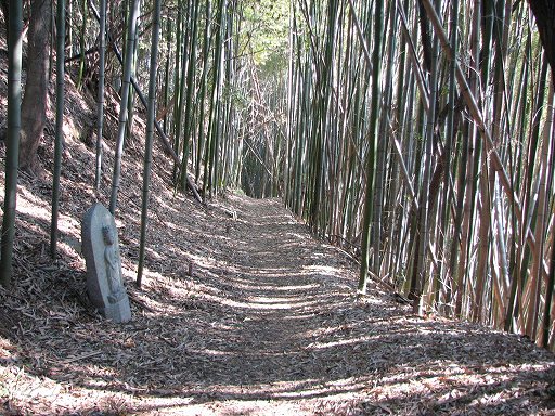 四国遍路｜七かしょまいり㉑