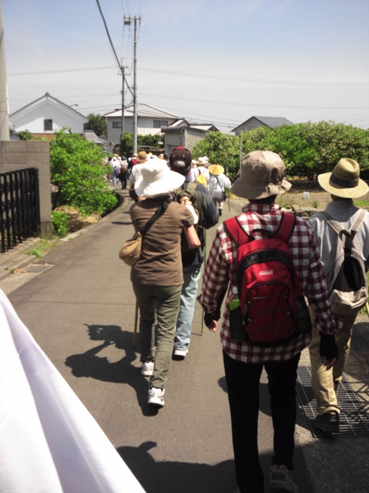 四国遍路|七かしょまいり㉚