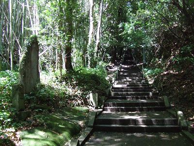 四国遍路|七かしょまいり㉜